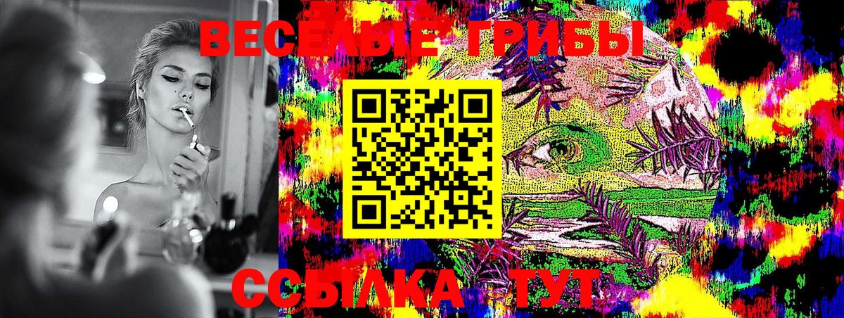 Прокопьевск  Галлюциногенные грибы Cubensis  Вход с VPN 